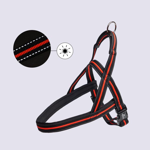 Шлейка Rungo Norway со светоотражающей полоской черная с оранжевым 60-76 см x 35 мм 