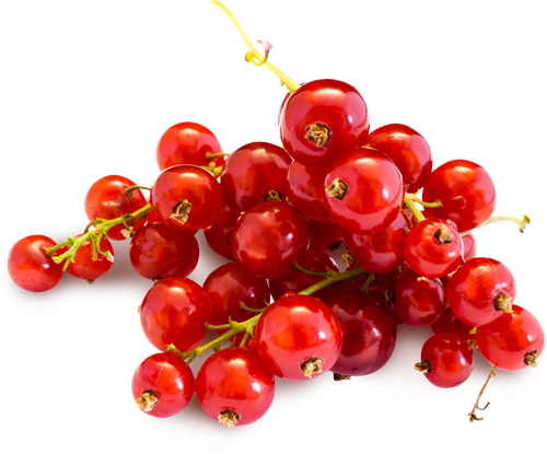 

Смородина красная вес