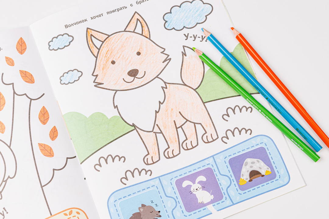 

Раскраска Феникс-премьер с наклейками-пазлами лес 48 наклеек