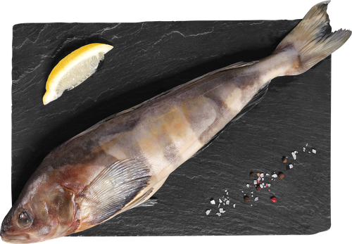 

Терпуг неразделанный размороженный Лента Fresh, весовой