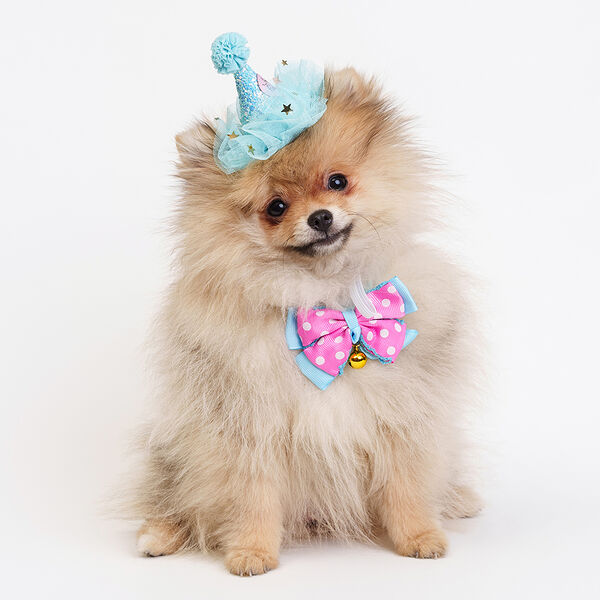 Колпак+бант Rurri Happy Birthday голубой