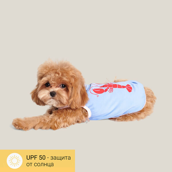 Майка Petmax голубая с лобстером размер S