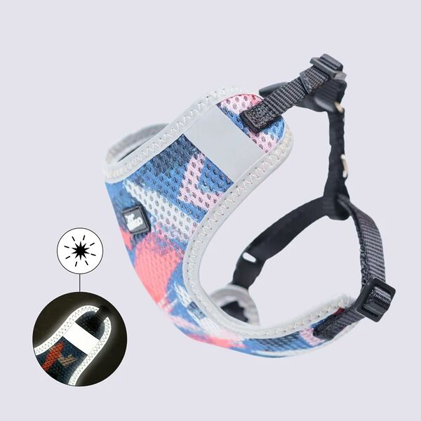 Шлейка Rungo Comfort XXS 10 мм x 22-33 см красный с голубым