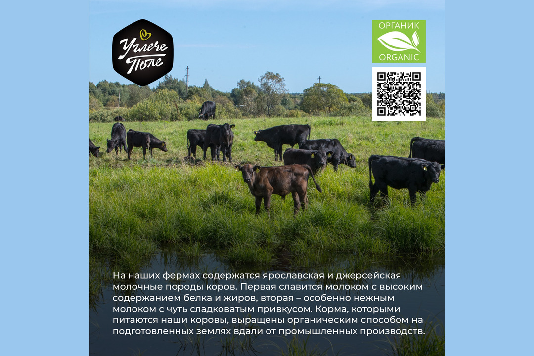 

Молоко цельное Углече Поле 3.5% - 5.2% 1 л