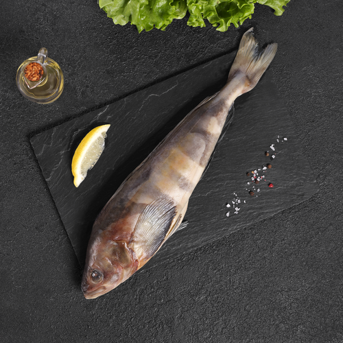 

Терпуг неразделанный размороженный Лента Fresh, весовой