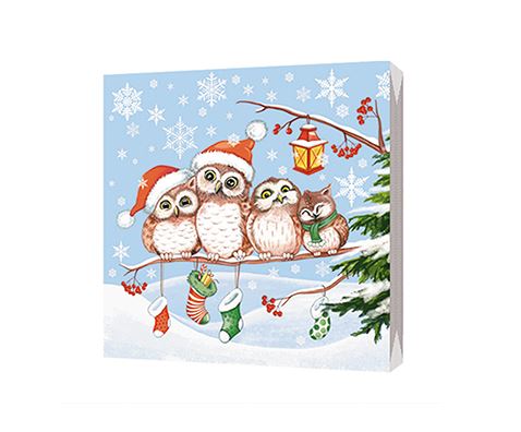 

Салфетки бумажные Bgreen В ожидании чуда 3 слоя 20 шт. 33х33 см