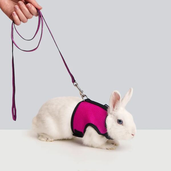 Комплект Petmax шлейка+поводок для грызунов Air Сплинтер грудь 10 мм x 330 мм, 120 см орхидея