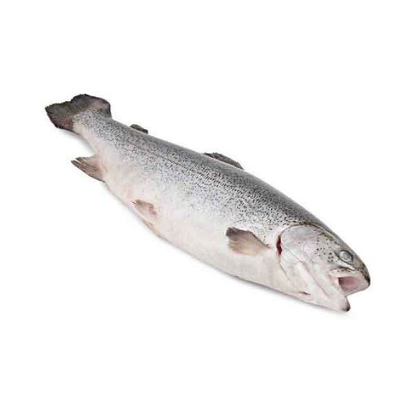 Прод мор пищ рыбн Форель радужная непотр с/г вес