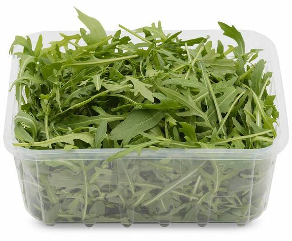 Салат Руккола