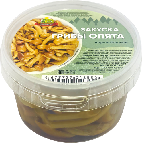 

Опята Ергачинские разносолы маринованные 250 г