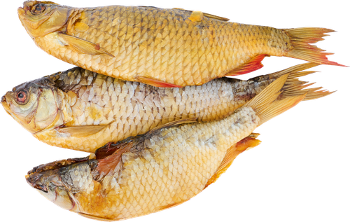 

Красноперка холодного копчения, весовая