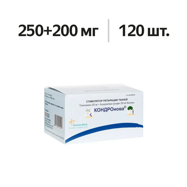 Кондронова капсулы 250 мг + 200 мг 120 шт