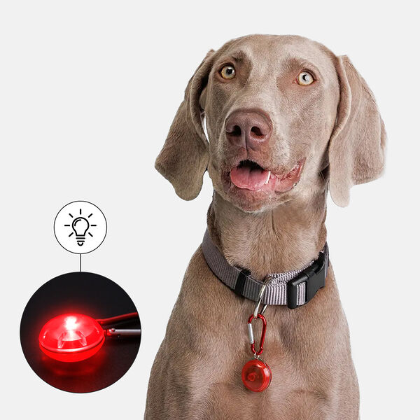 Маячок светящийся на ошейник круглый с карабином, в ассортименте