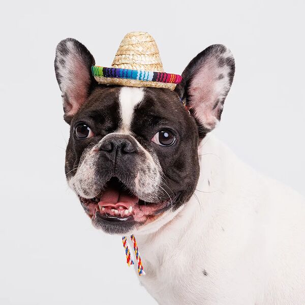 Шляпка соломенная 10см с цветными шнурками