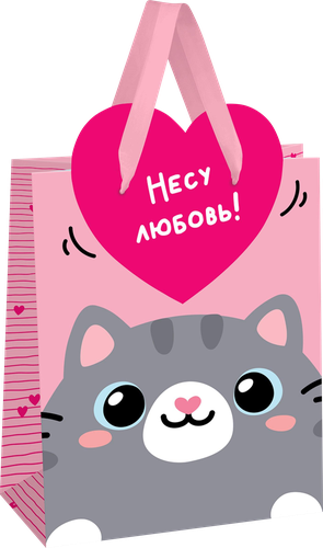 

Пакет подарочный Meshu You are special 26х32х12 см в ассортименте