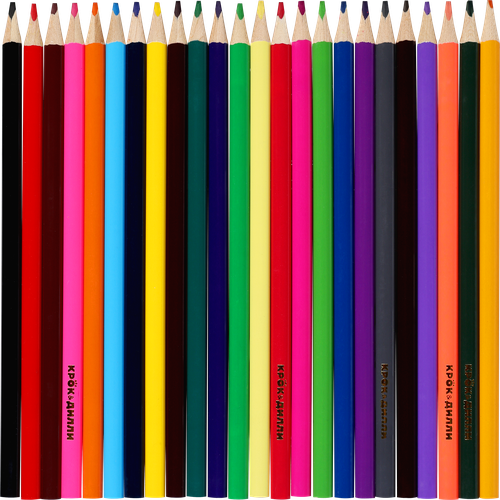 

Набор цветных карандашей Крок&Дилли, 24 шт