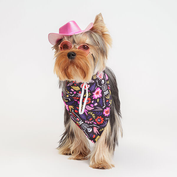 Комплект Rurri шляпа+очки+бандана розовый