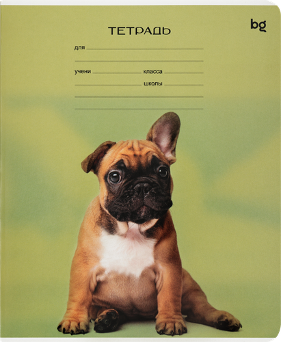 

Тетрадь Биджи 12 л, линия Little animal 1 шт в ассортименте