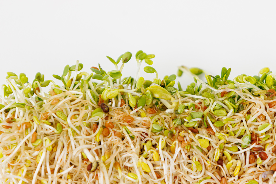 

Растительные ломтики ВкусВилл 4 шт. 120 г