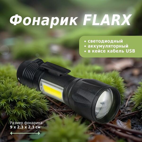 Фонарь светодиодный аккумуляторный в кейсе с кабелем USB, FLARX