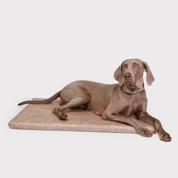 Матрас Rurri для кошек и собак Бархан 89х65х4 см