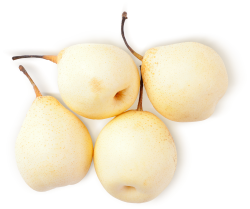 

Груша Китайская весовая