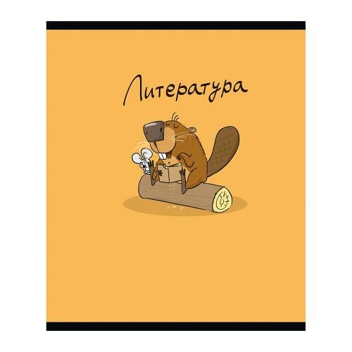 Тетрадь ПЗБМ предметная линия Бобр Литература 40 л