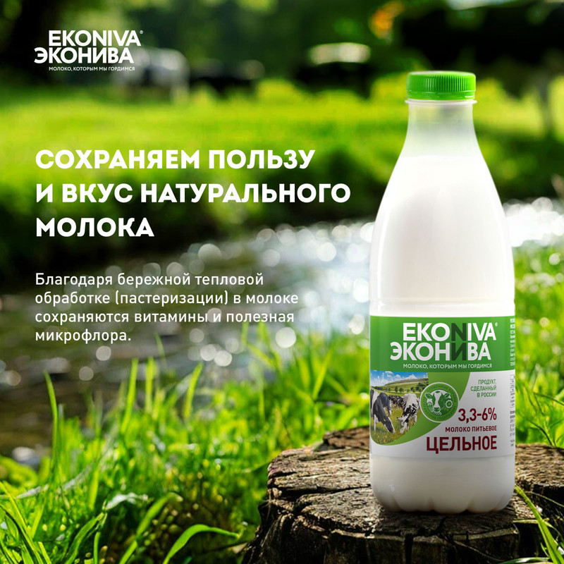 

Молоко пастеризованное ЭкоНива цельное 3.3–6% 1 л