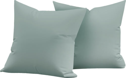 

Набор наволочек Homeclub 50 x 70 см поплин Арт. HCP/P5070/Д3 2 шт.