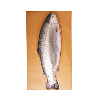 

Фoрель морская охлажденная Мурманск вес