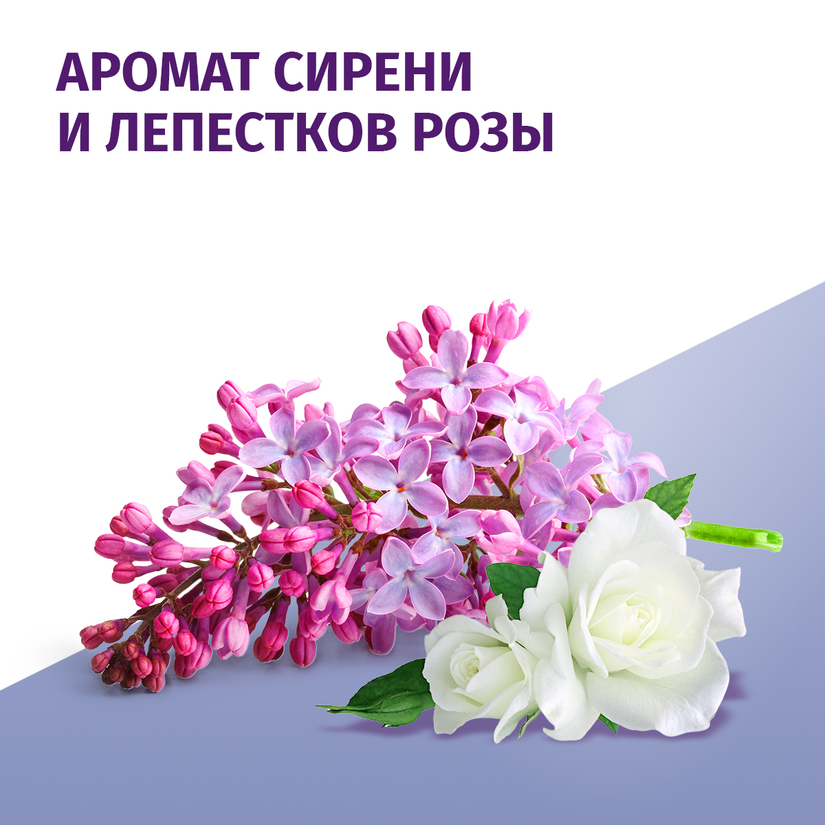 

Дезодорант женский спрей Фа Защита и комфорт Сирень 150 мл