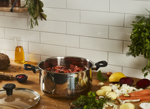 

Кастрюля с крышкой TEFAL Edition 24см, нержавеющая сталь