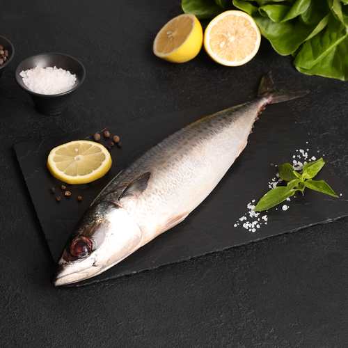 

Скумбрия Атлантическая Лента Fresh непотрошеная с головой из замороженного сырья, вес