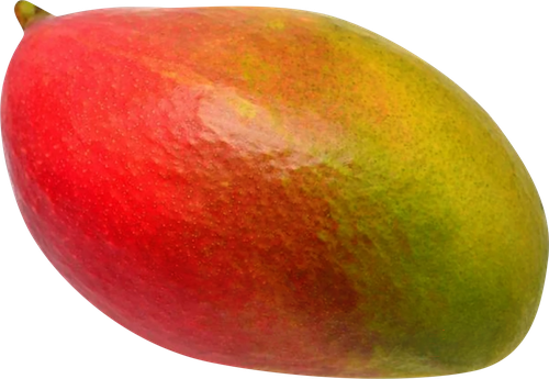 

Манго Палмер весовое