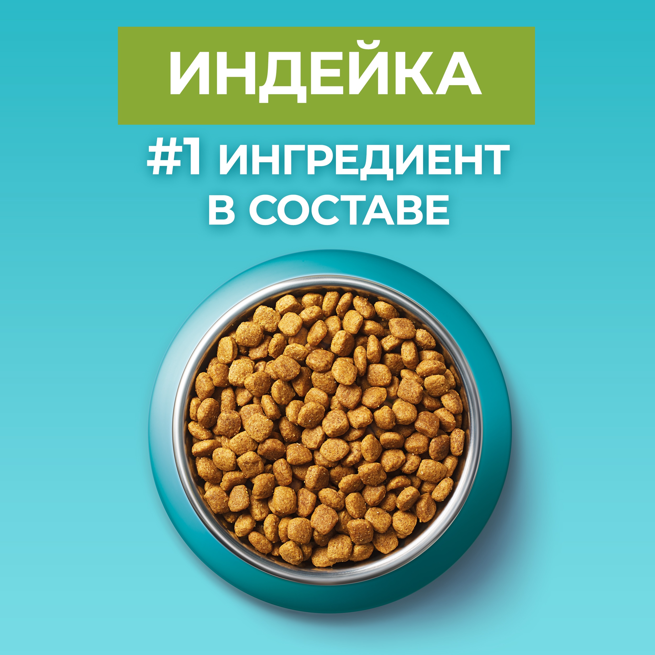 

Сухой корм Purina One для взрослых кошек живущих в домашних условиях с высоким содержанием индейки и цельными злаками пакет 750 г