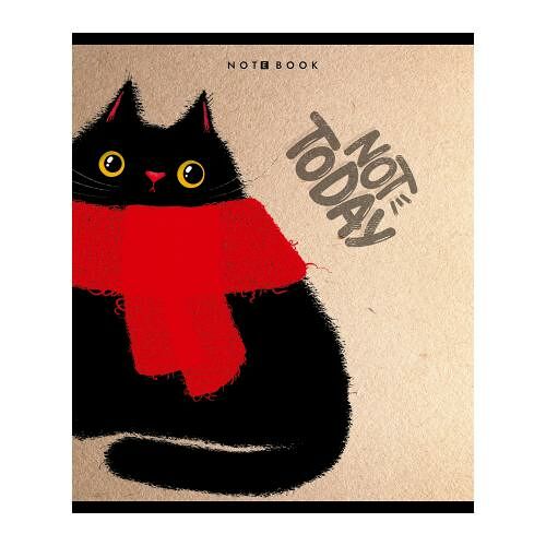 Тетрадь ПЗБМ А5 серия Not Today клетка 96 листов 1 шт. в ассортименте