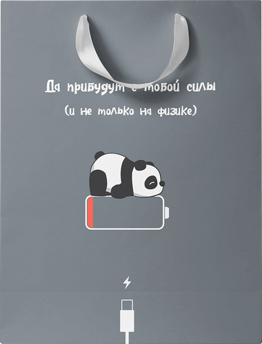Пакет подарочный City Home Trade 25.5х31.5х11 см 1 шт. в ассортименте