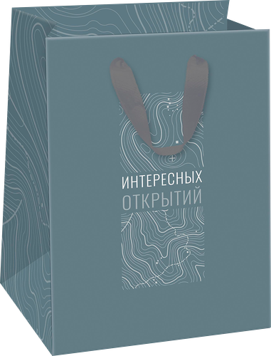 Пакет подарочный Paketiko Country 14х19х9 см, дизайн в ассортименте