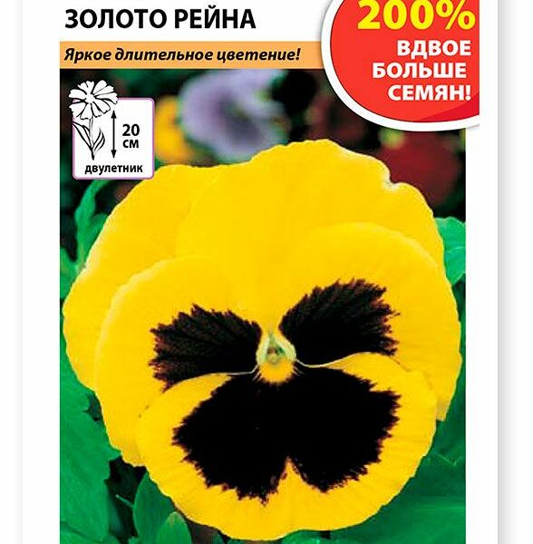 Семена виола Золото рейна