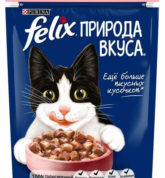 Влажный корм Felix Природа вкуса для взрослых кошек с лососем в соусе 75 г