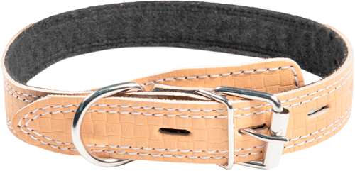 Ошейник для собак Gаmmа кожаный 25 мм в ассортименте