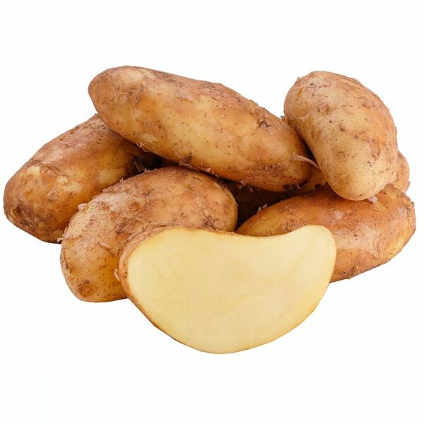 Картофель ранний Египет вес