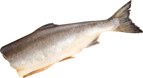 

Горбуша Лента Fresh потрошеная без головы (из замороженного сырья), весовая