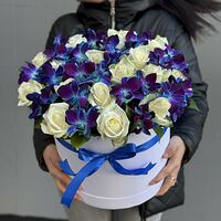 Изображение 5