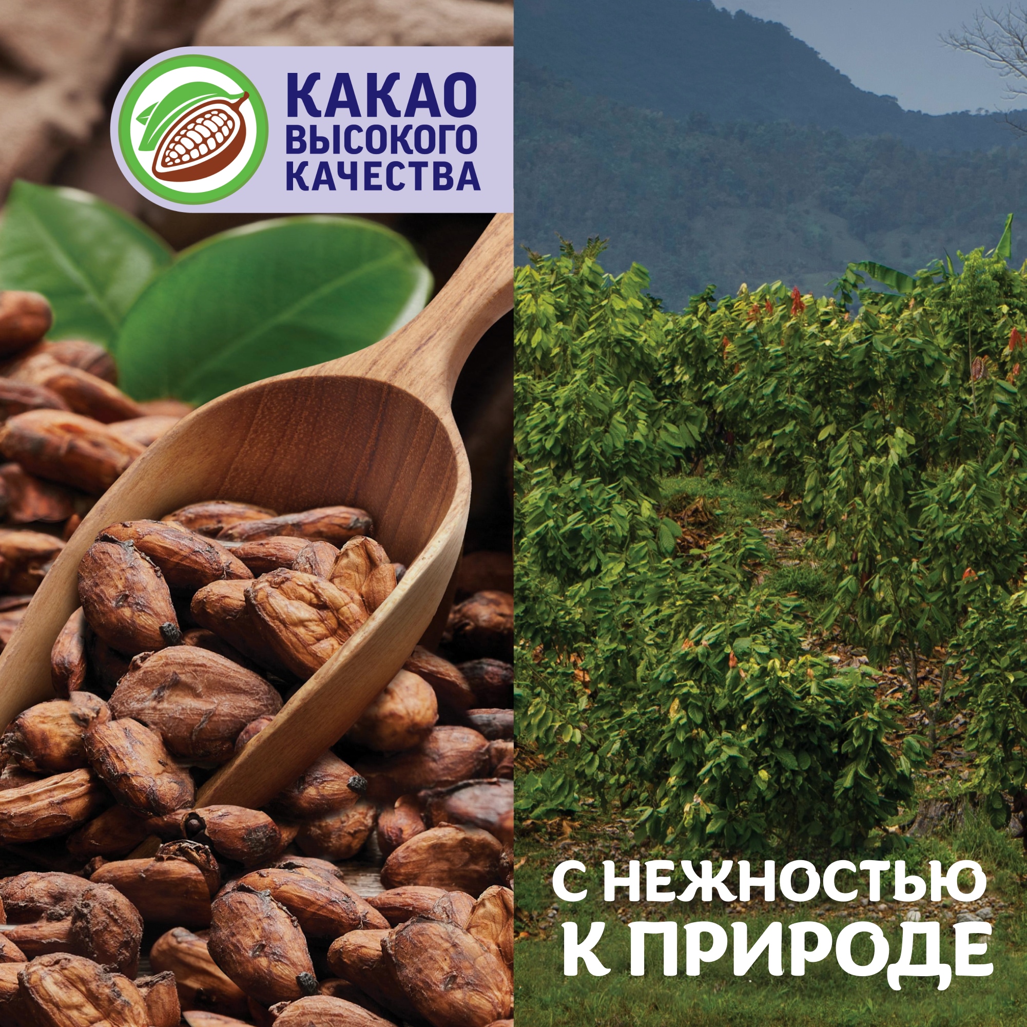 

Шоколад молочный Milka с двухслойной начинкой: миндальная и Лесные Ягоды 80 г