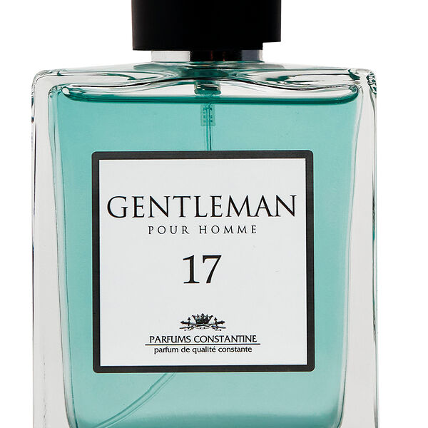 Мужская туалетная вода Parfums Constantine Private Collection Gentleman 17 100 мл