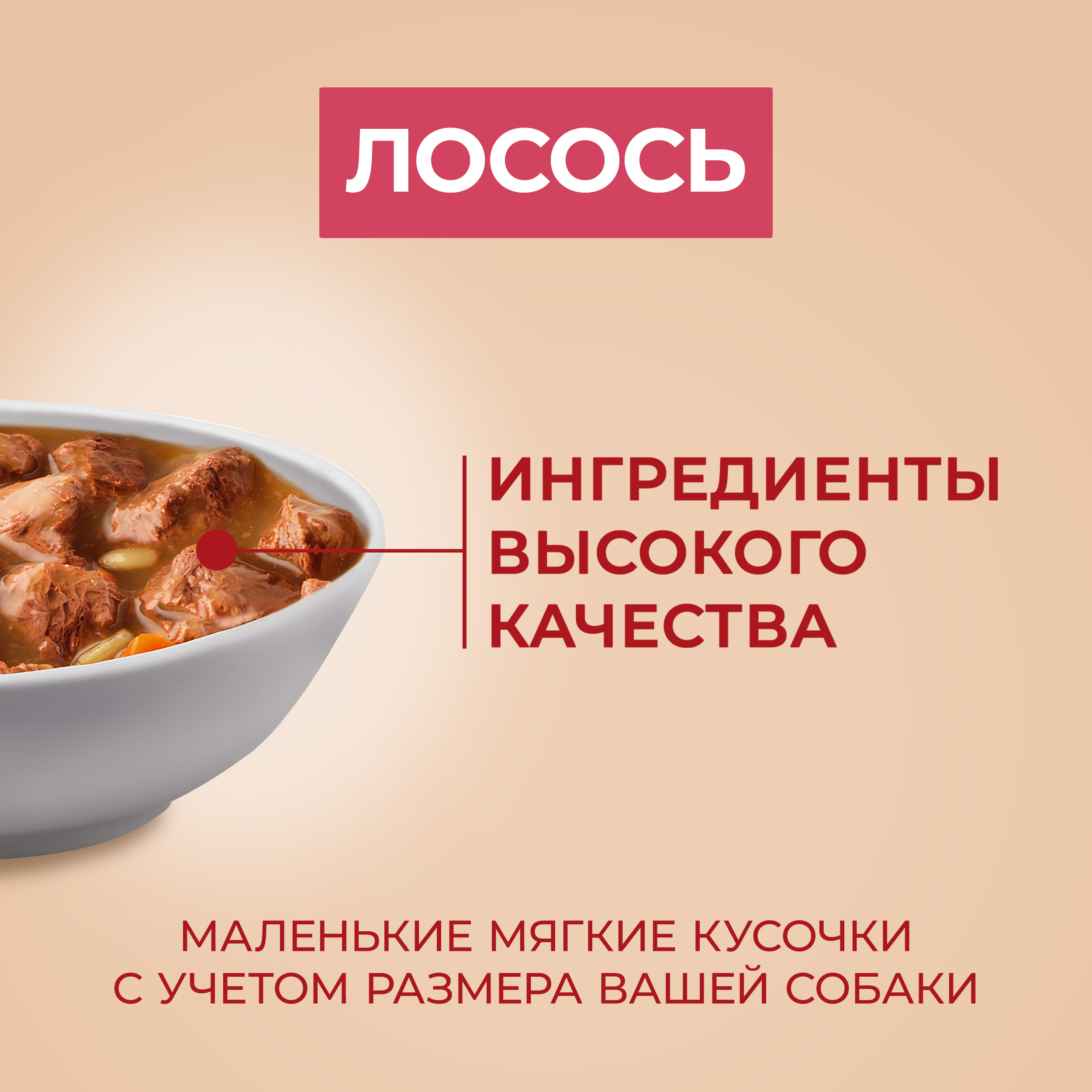 

Влажный корм Purina One Мини Чувствительное пищеварение для взрослых собак мелких пород, с лососем, рисом и морковью в подливе 85 г