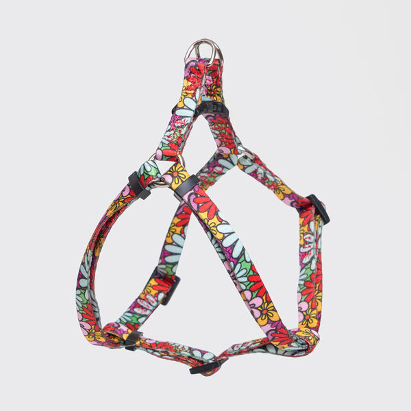 Шлейка Rurri Flower Power 10 мм 33-46,5 см