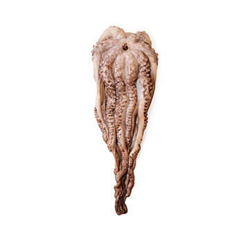 

Осьминог 1/2 из замороженного сырья Китай вес