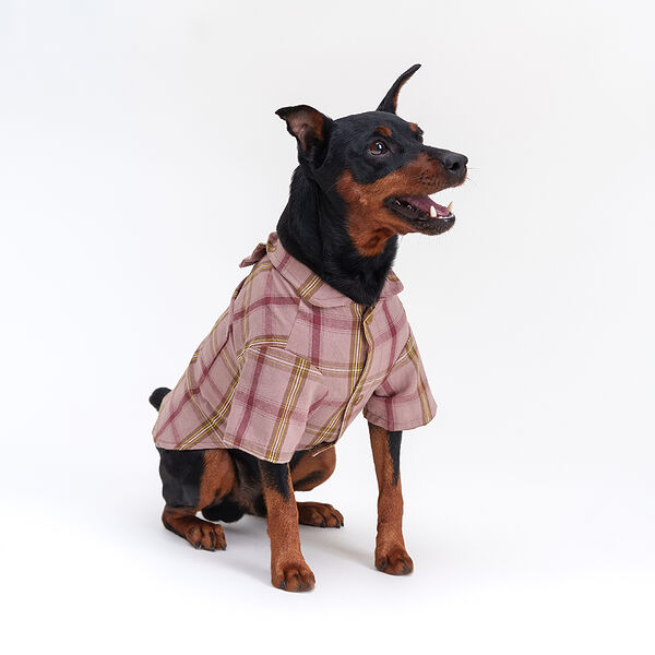 Рубашка Rurri красная с бантом XL